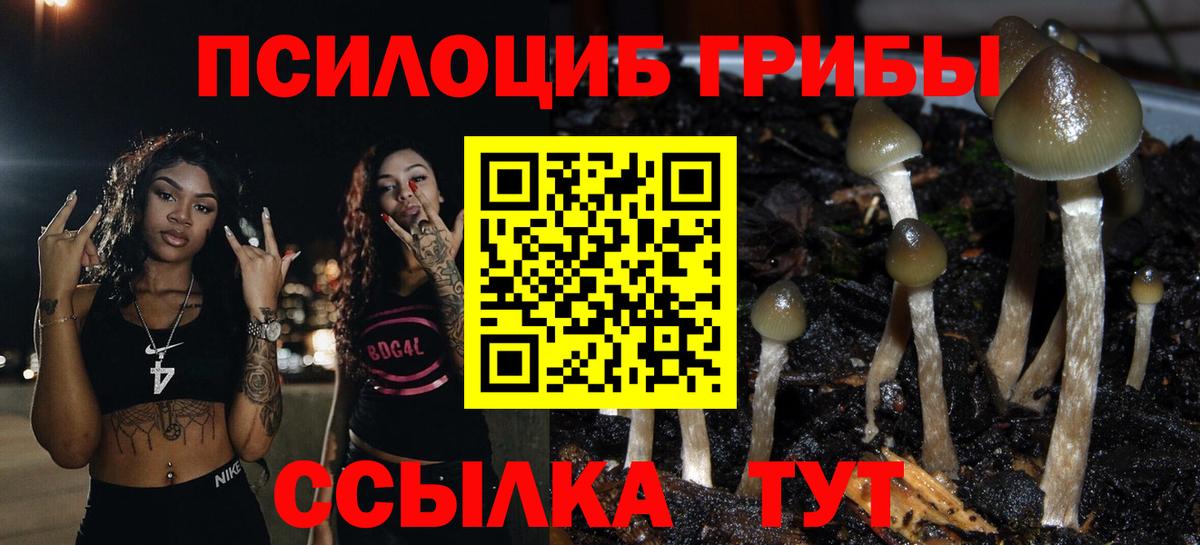 Кропоткин  где купить наркотик  Вход с VPN  Псилоцибиновые грибы MAGIC MUSHROOMS 